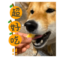 762958432
