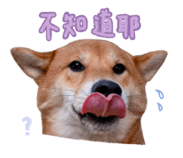 762958443