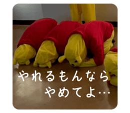 762963928