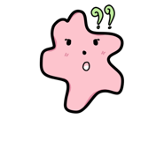 762977186