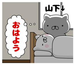 76298158