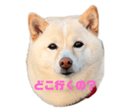 762982092