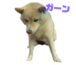 762982098