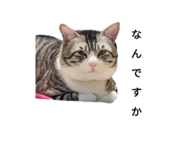 762983747