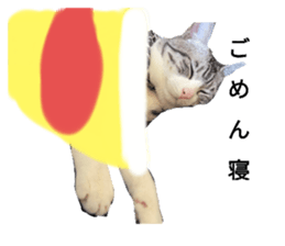 762983749