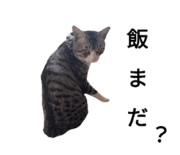 762983752