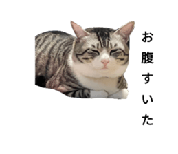 762983753