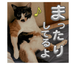 762984453