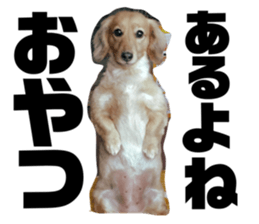 762984455