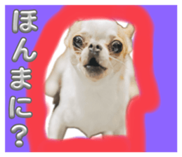 762990055