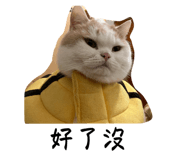 762994568