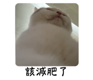 762994576
