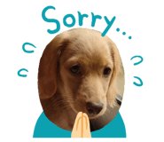762995189