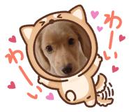762995192