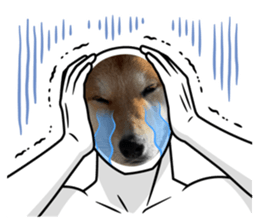 763013090