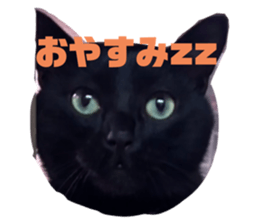 763034876
