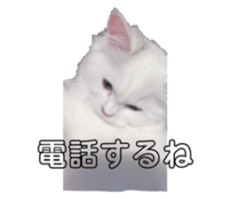 763035520