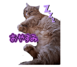 763040076
