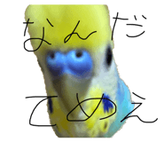 763043057