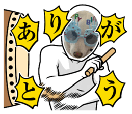 763043647