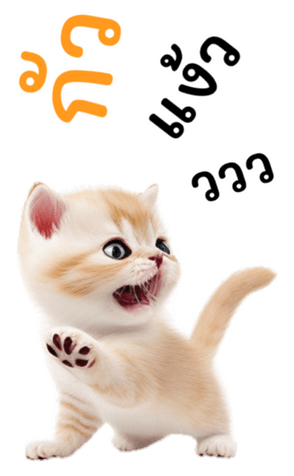 763076527