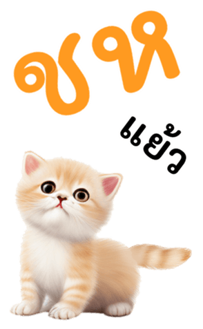 763076534