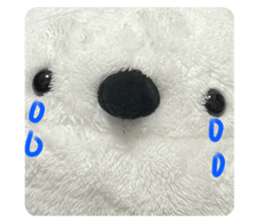 763087452