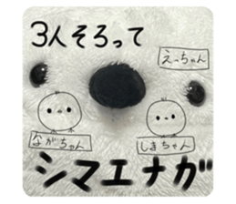 763087464