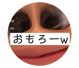 763090933