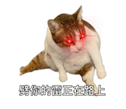 763096934