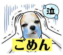 763103273