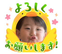 763103638