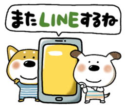 763106533