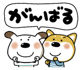 763106544
