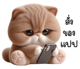 763106902
