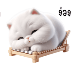 763106936