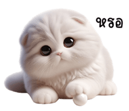 763106938
