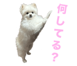 763110699