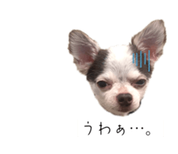 763113303