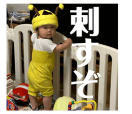 763113706