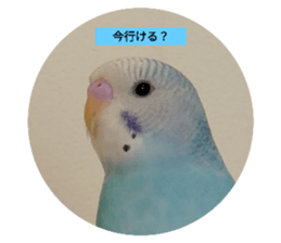 763114842