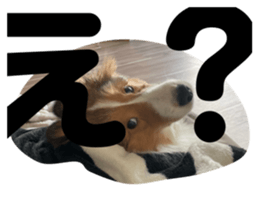 763115798