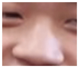 763124102