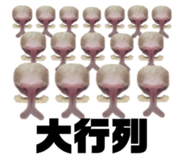 763127380