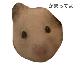 763135005