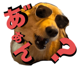 763145681