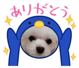 763152576
