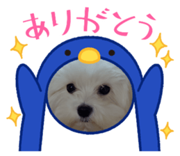 763152583