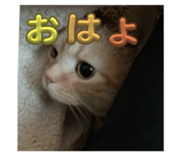 763157178