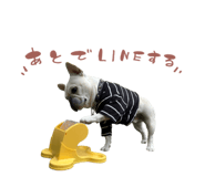 763186910